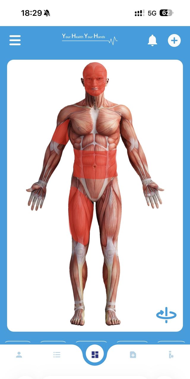 YH2 app — interactive anatomical body map for navigating records by area of the body